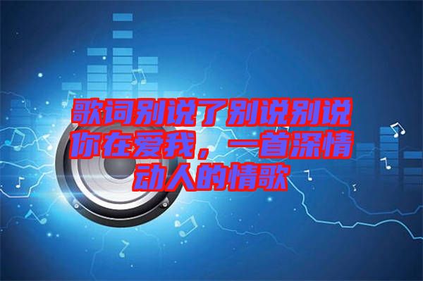 歌詞別說了別說別說你在愛我，一首深情動人的情歌