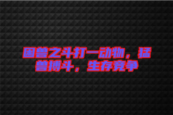 困獸之斗打一動物，猛獸搏斗，生存競爭