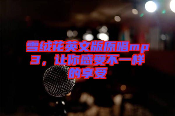 雪絨花英文版原唱mp3，讓你感受不一樣的享受