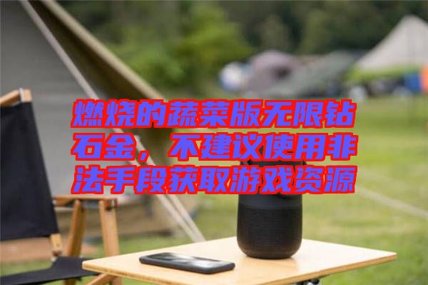 燃燒的蔬菜版無(wú)限鉆石金，不建議使用非法手段獲取游戲資源