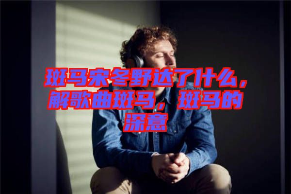 斑馬宋冬野達了什么，解歌曲斑馬，斑馬的深意