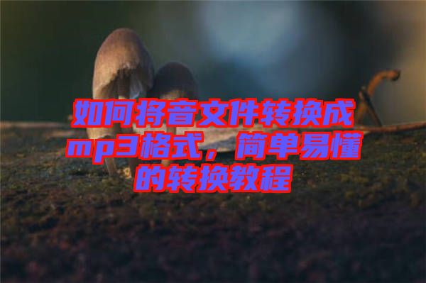 如何將音文件轉(zhuǎn)換成mp3格式，簡(jiǎn)單易懂的轉(zhuǎn)換教程