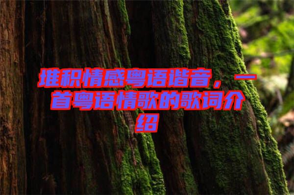 堆積情感粵語諧音，一首粵語情歌的歌詞介紹