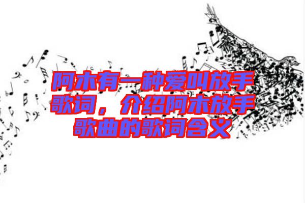 阿木有一種愛(ài)叫放手歌詞，介紹阿木放手歌曲的歌詞含義