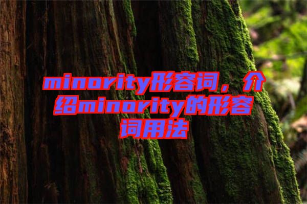 minority形容詞，介紹minority的形容詞用法