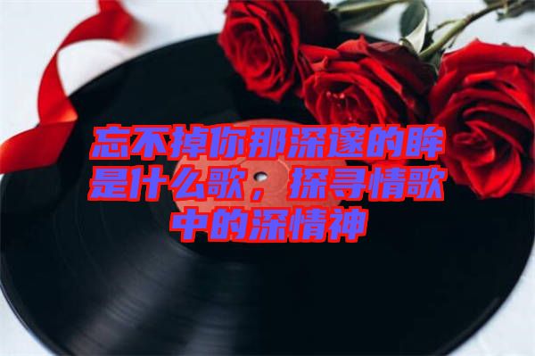 忘不掉你那深邃的眸是什么歌，探尋情歌中的深情神