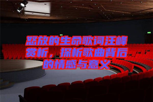 怒放的生命歌詞汪峰賞析，探析歌曲背后的情感與意義