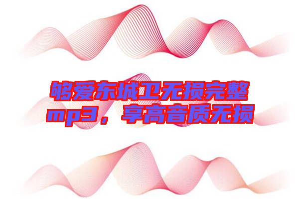 夠愛東城衛(wèi)無損完整mp3，享高音質無損