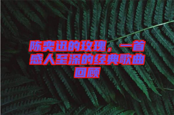 陳奕迅的玫瑰，一首感人至深的經(jīng)典歌曲回顧