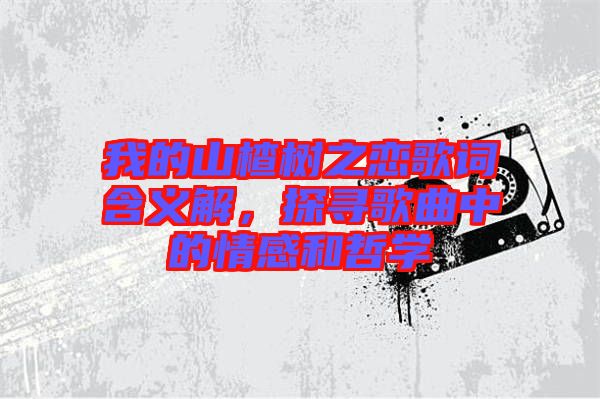 我的山楂樹之戀歌詞含義解，探尋歌曲中的情感和哲學(xué)