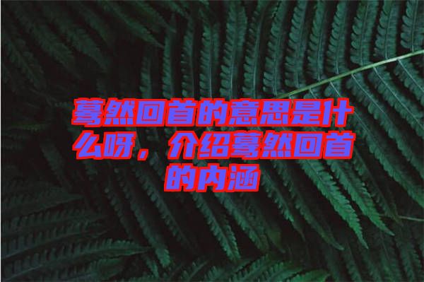 驀然回首的意思是什么呀，介紹驀然回首的內(nèi)涵