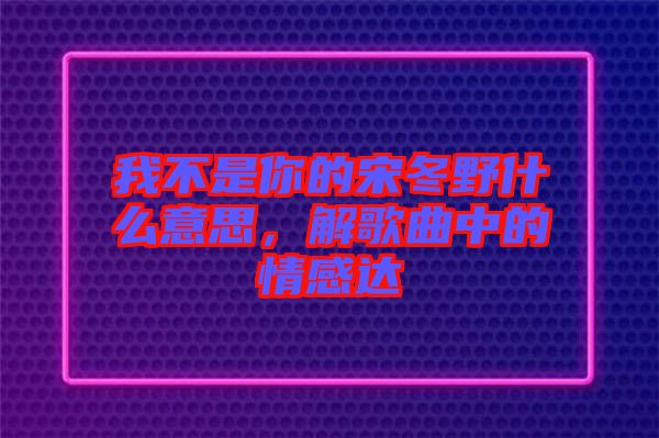 我不是你的宋冬野什么意思，解歌曲中的情感達(dá)