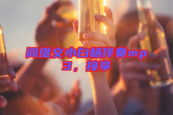 閻維文小白楊伴奏mp3，接享