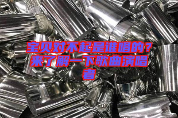 寶貝對(duì)不起是誰唱的？來了解一下歌曲演唱者