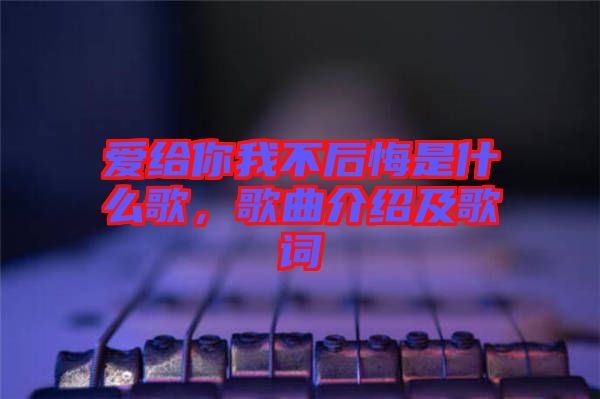 愛給你我不后悔是什么歌，歌曲介紹及歌詞