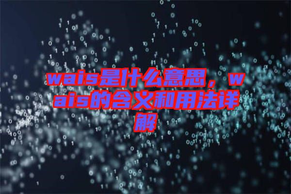 wais是什么意思，wais的含義和用法詳解