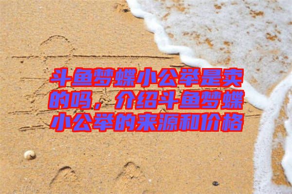 斗魚夢蝶小公舉是賣的嗎，介紹斗魚夢蝶小公舉的來源和價格