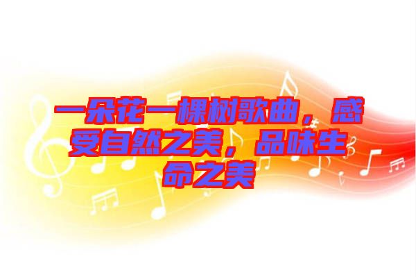 一朵花一棵樹歌曲，感受自然之美，品味生命之美