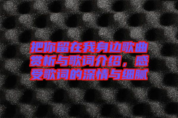 把你留在我身邊歌曲賞析與歌詞介紹，感受歌詞的深情與細(xì)膩