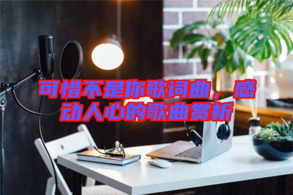 可惜不是你歌詞曲，感動(dòng)人心的歌曲賞析