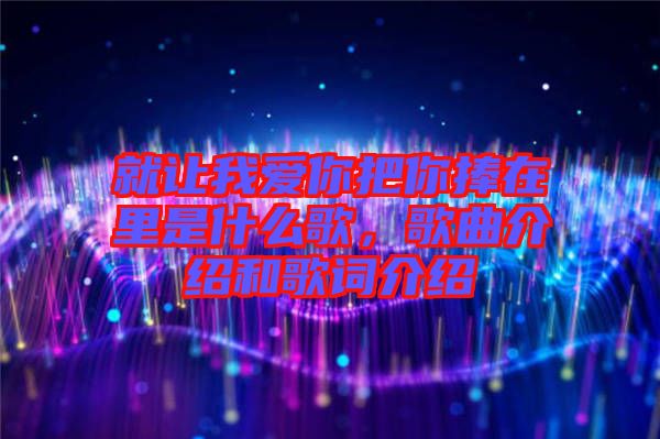 就讓我愛你把你捧在里是什么歌，歌曲介紹和歌詞介紹