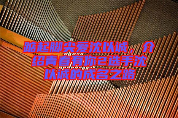 踮起腳尖愛沈以誠，介紹青春有你2選手沈以誠的成名之路