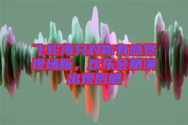 飛輪海只對(duì)你有感覺(jué)現(xiàn)場(chǎng)版，歡樂(lè)會(huì)精演出觀(guān)后感