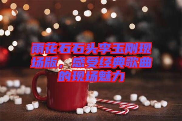 雨花石石頭李玉剛現(xiàn)場(chǎng)版，感受經(jīng)典歌曲的現(xiàn)場(chǎng)魅力