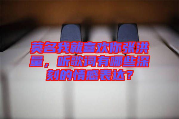 莫名我就喜歡你張洪量，聽歌詞有哪些深刻的情感表達？