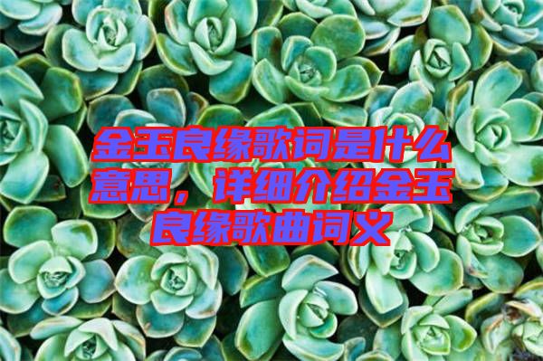 金玉良緣歌詞是什么意思，詳細介紹金玉良緣歌曲詞義