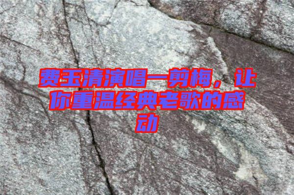 費玉清演唱一剪梅，讓你重溫經(jīng)典老歌的感動