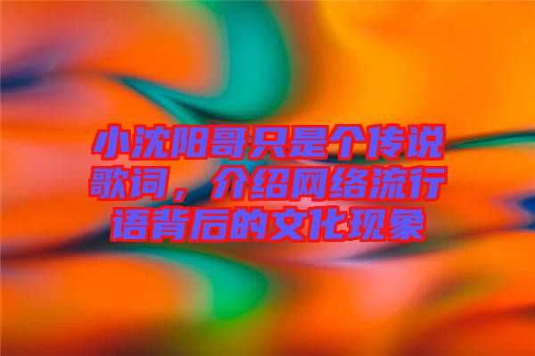 小沈陽哥只是個傳說歌詞，介紹網(wǎng)絡流行語背后的文化現(xiàn)象