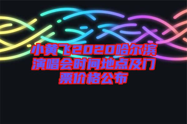 小黃飛2020哈爾濱演唱會時(shí)間地點(diǎn)及門票價(jià)格公布