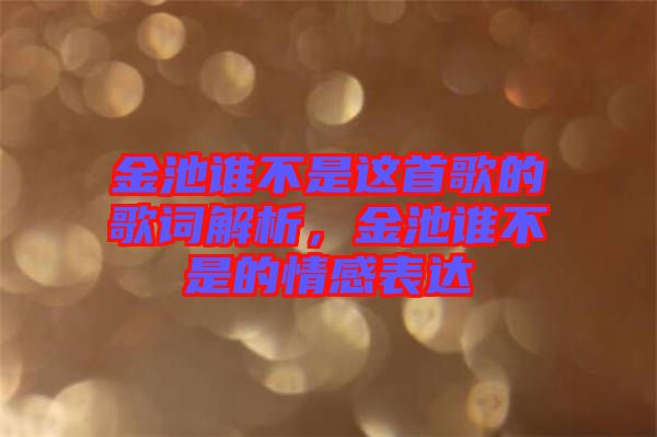 金池誰不是這首歌的歌詞解析，金池誰不是的情感表達