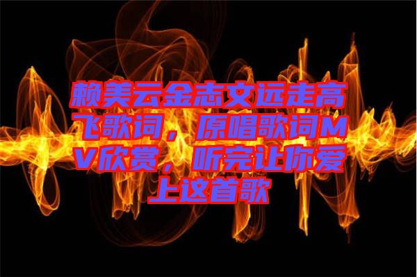 賴美云金志文遠走高飛歌詞，原唱歌詞MV欣賞，聽完讓你愛上這首歌