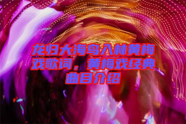 龍歸大海鳥(niǎo)入林黃梅戲歌詞，黃梅戲經(jīng)典曲目介紹