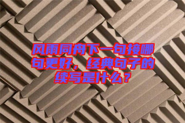 風(fēng)雨同舟下一句接哪句更好，經(jīng)典句子的續(xù)寫(xiě)是什么？