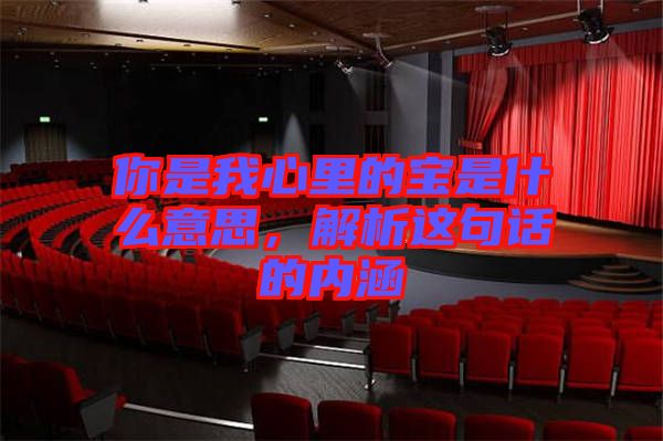 你是我心里的寶是什么意思，解析這句話(huà)的內(nèi)涵