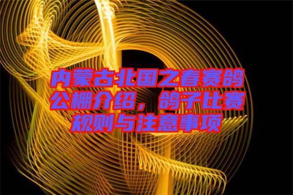 內(nèi)蒙古北國之春賽鴿公棚介紹，鴿子比賽規(guī)則與注意事項