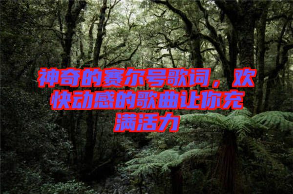 神奇的賽爾號歌詞，歡快動感的歌曲讓你充滿活力