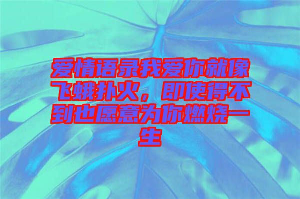 愛情語錄我愛你就像飛蛾撲火，即使得不到也愿意為你燃燒一生