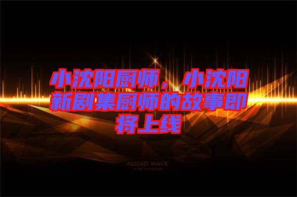 小沈陽廚師，小沈陽新劇集廚師的故事即將上線