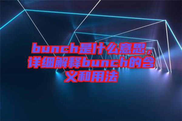 bunch是什么意思，詳細解釋bunch的含義和用法