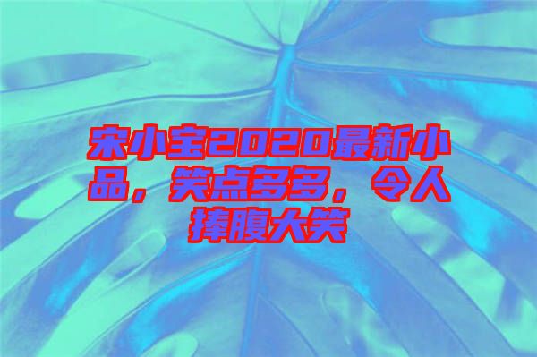 宋小寶2020最新小品，笑點多多，令人捧腹大笑