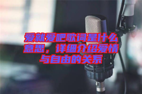 愛就愛吧歌詞是什么意思，詳細介紹愛情與自由的關(guān)系