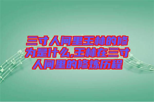 三寸人間里王林的修為是什么,王林在三寸人間里的修煉歷程