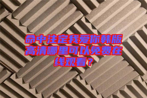 命中注定我愛(ài)你韓版高清哪里可以免費(fèi)在線觀看？