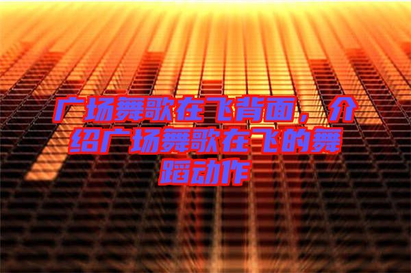 廣場舞歌在飛背面，介紹廣場舞歌在飛的舞蹈動(dòng)作