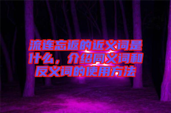 流連忘返的近義詞是什么，介紹同義詞和反義詞的使用方法