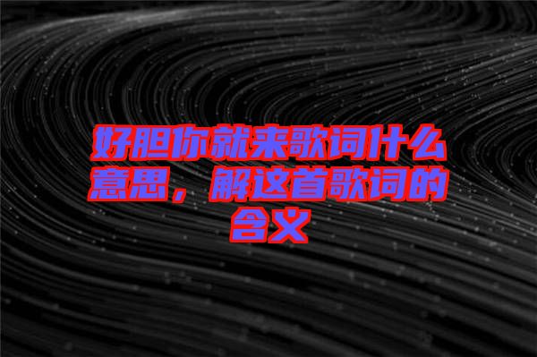 好膽你就來歌詞什么意思，解這首歌詞的含義